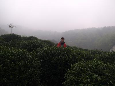 P4046113 14369999540 O