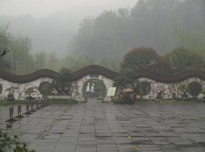 P4046115 14555086964 O