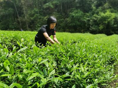 51714363902 Ea5ea5bbf7 O