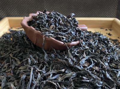 51714413752 2f70ef7d96 O