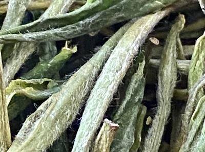 51714447742 C240ef0ee5 O