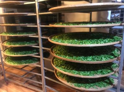 51714475587 Cb45d10269 O