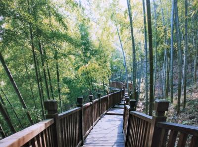 51714477707 28074f53bd O