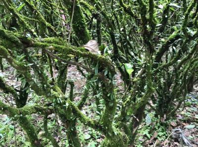 51715126521 014607ab61 O