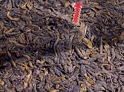 51715153746 151958c5c5 O