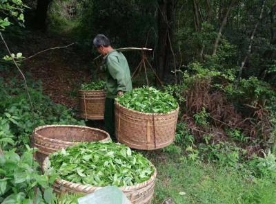 51715158821 7aa1843622 O