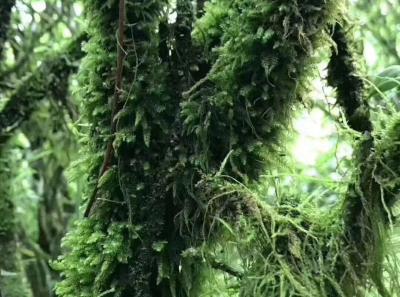 51715190656 102ee4856d O