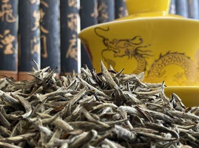 51715208721 7cb643effe O