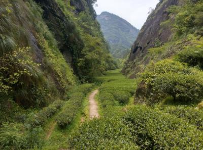 51715233456 9c7fa5b6ce O1