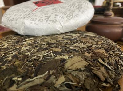 51715243541 5a7d9c10cb O