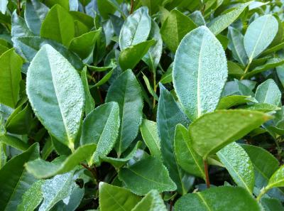 51715391293 06edb31c9e O