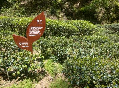 51715392523 F9ea2a7b6e O