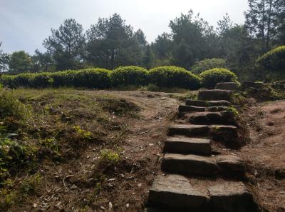 51715455563 8315c111b9 O