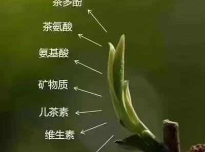 51715831939 C14f6e17e1 O