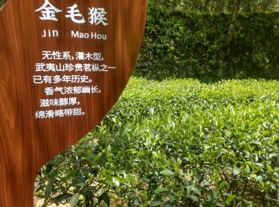 51715846049 0a255b30ea O