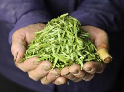 51715877389 D5889fc8ca O