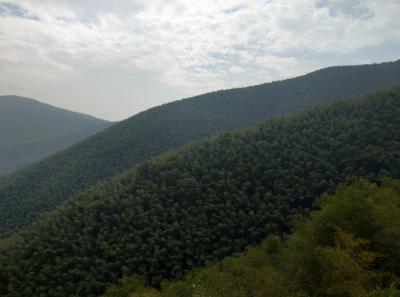 51715886354 14545a9932 O