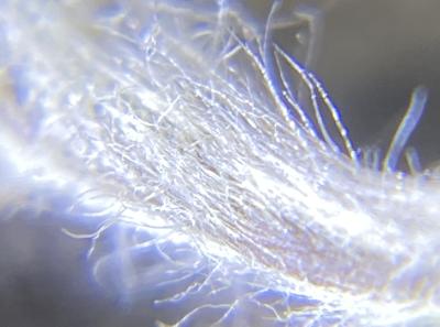 51715886399 1f28e855c9 O