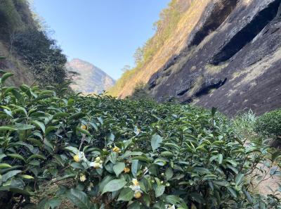 51715886724 5f63be291e O