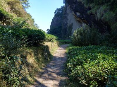 51715907149 870bf69177 O1