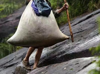 51715996480 26332065d9 O