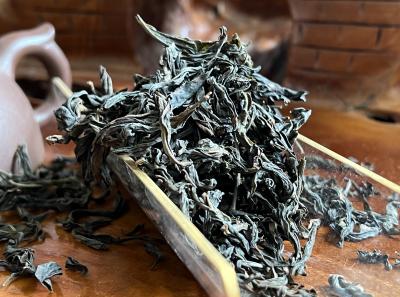 51716051950 68bfe7f8a4 O