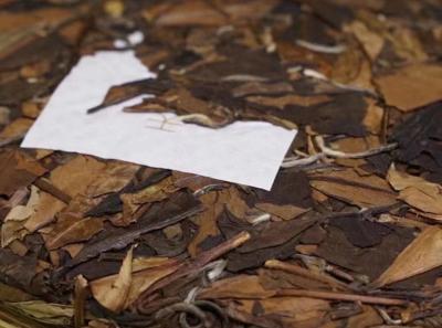 51716052485 Ba325d19ea O