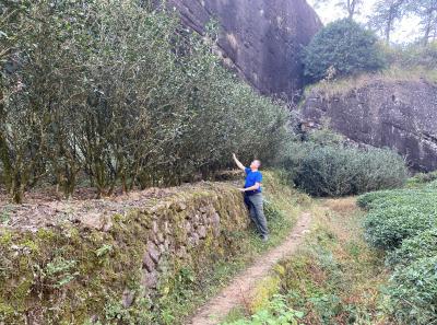 51716079905 40a373bc64 O