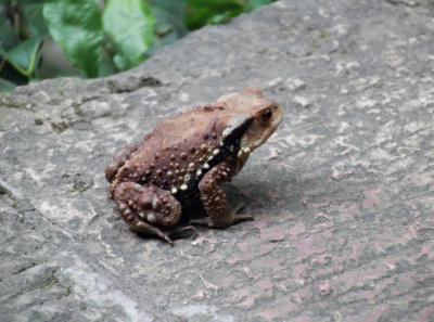 China 2013 10 20 10434663923 O