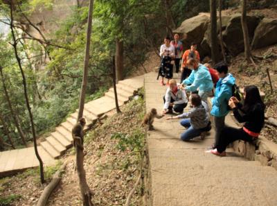 China 2013 10 32 10434658083 O