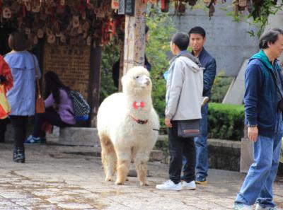 China 2013 10 47 10434511145 O