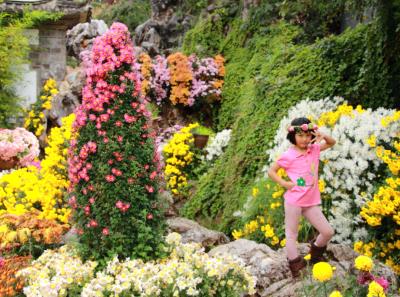 China 2013 10 49 10434649903 O