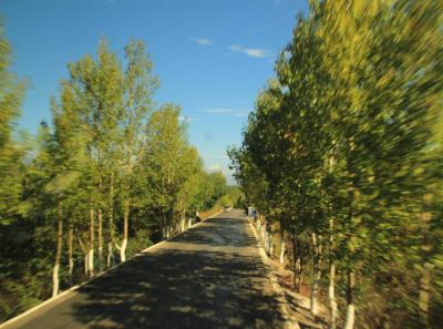 China 2013 10 61 10434497296 O