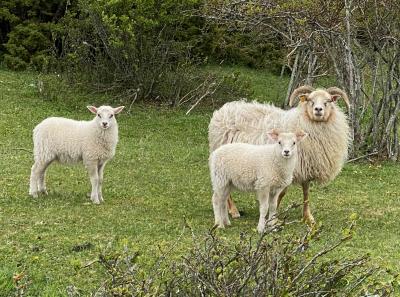 Img 3190 51205482482 O