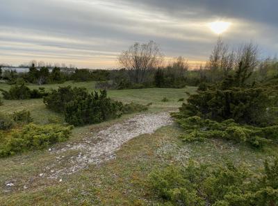 Img 3195 51205482997 O