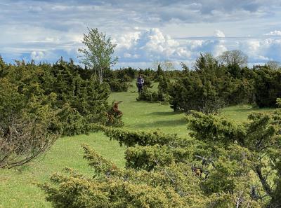 Img 3203 51206399923 O