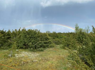 Img 3226 51205486607 O