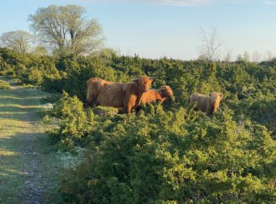 Img 3229 51207264235 O