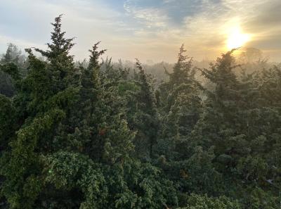 Img 3233 51207259475 O