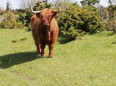 Osmusaar 05 21 9 51208886445 O