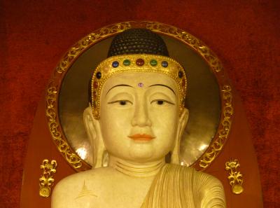 P1090345 50190670368 O