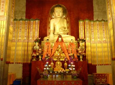 P1090346 50190631068 O