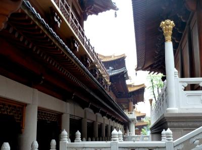 P1090361 50191176581 O