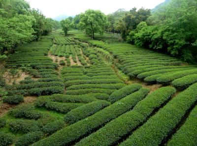 P1090400 50191175571 O