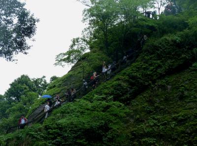 P1090471 50191172306 O