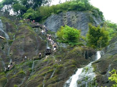 P1090485 50191431557 O