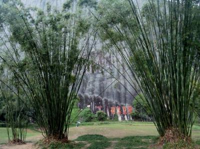 P1090505 50191171206 O