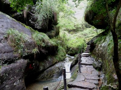 P1090591 50190622363 O