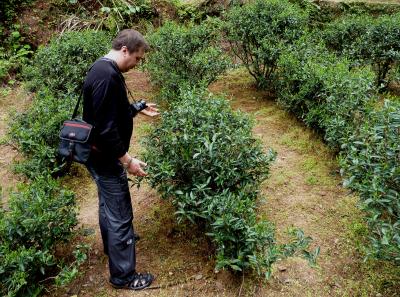 P1090607 50191167796 O