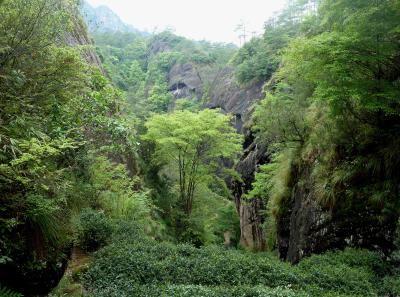 P1090615 50191427597 O